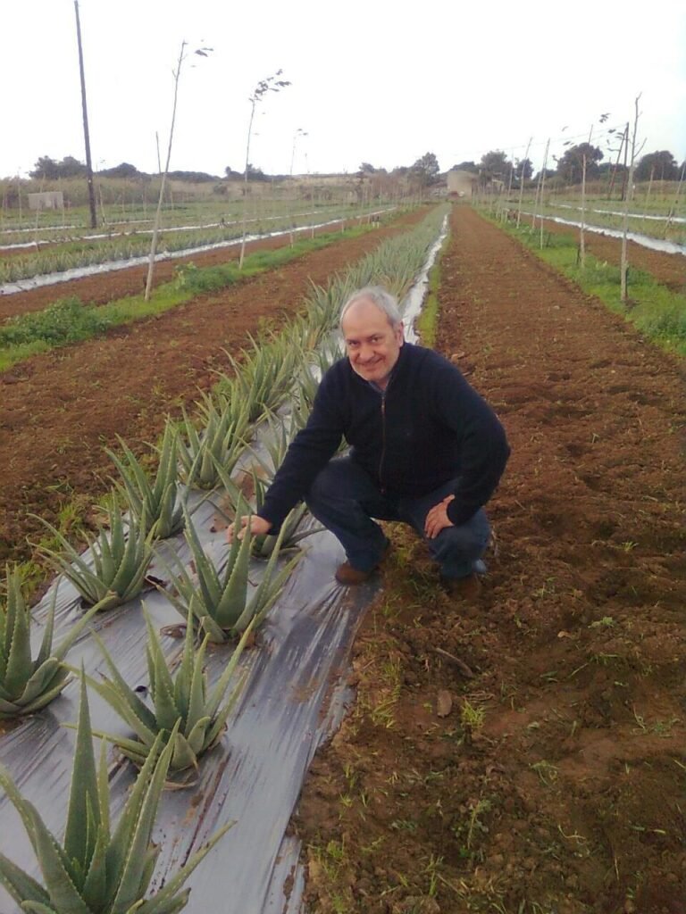 Aloe project in Greece