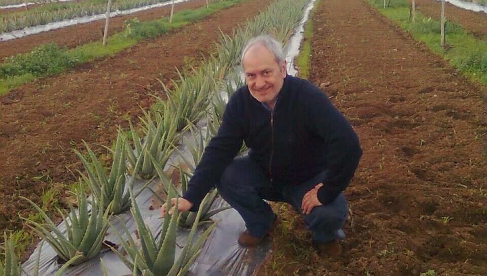 Aloe project in Greece